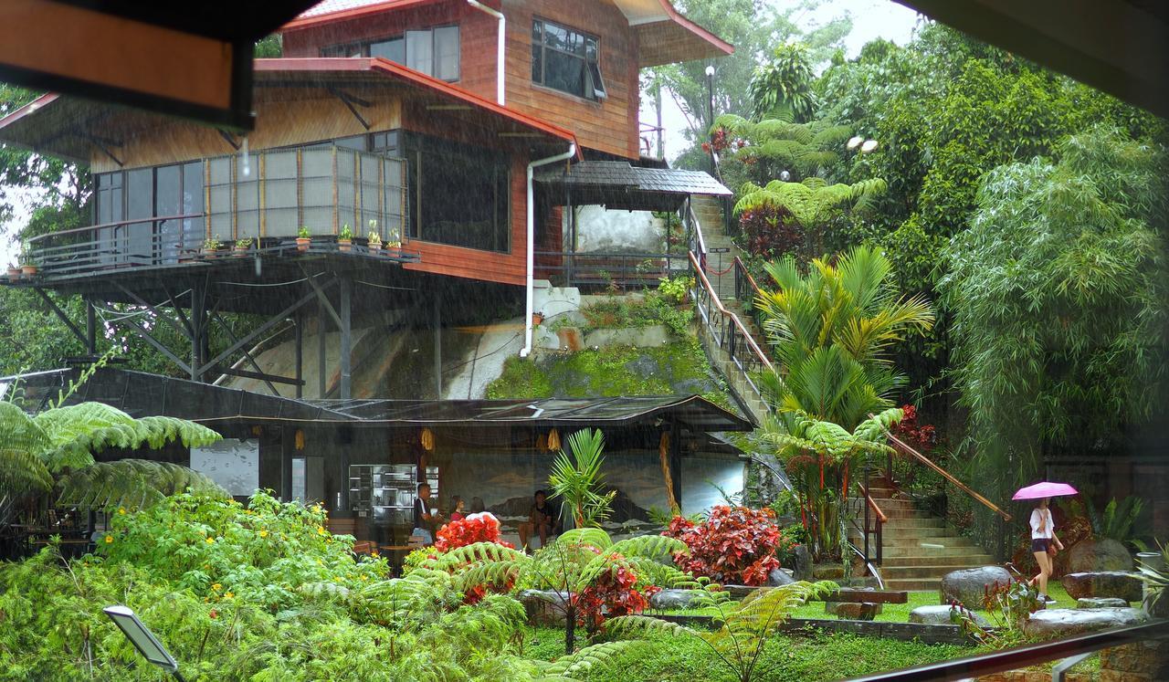 Kokol Haven