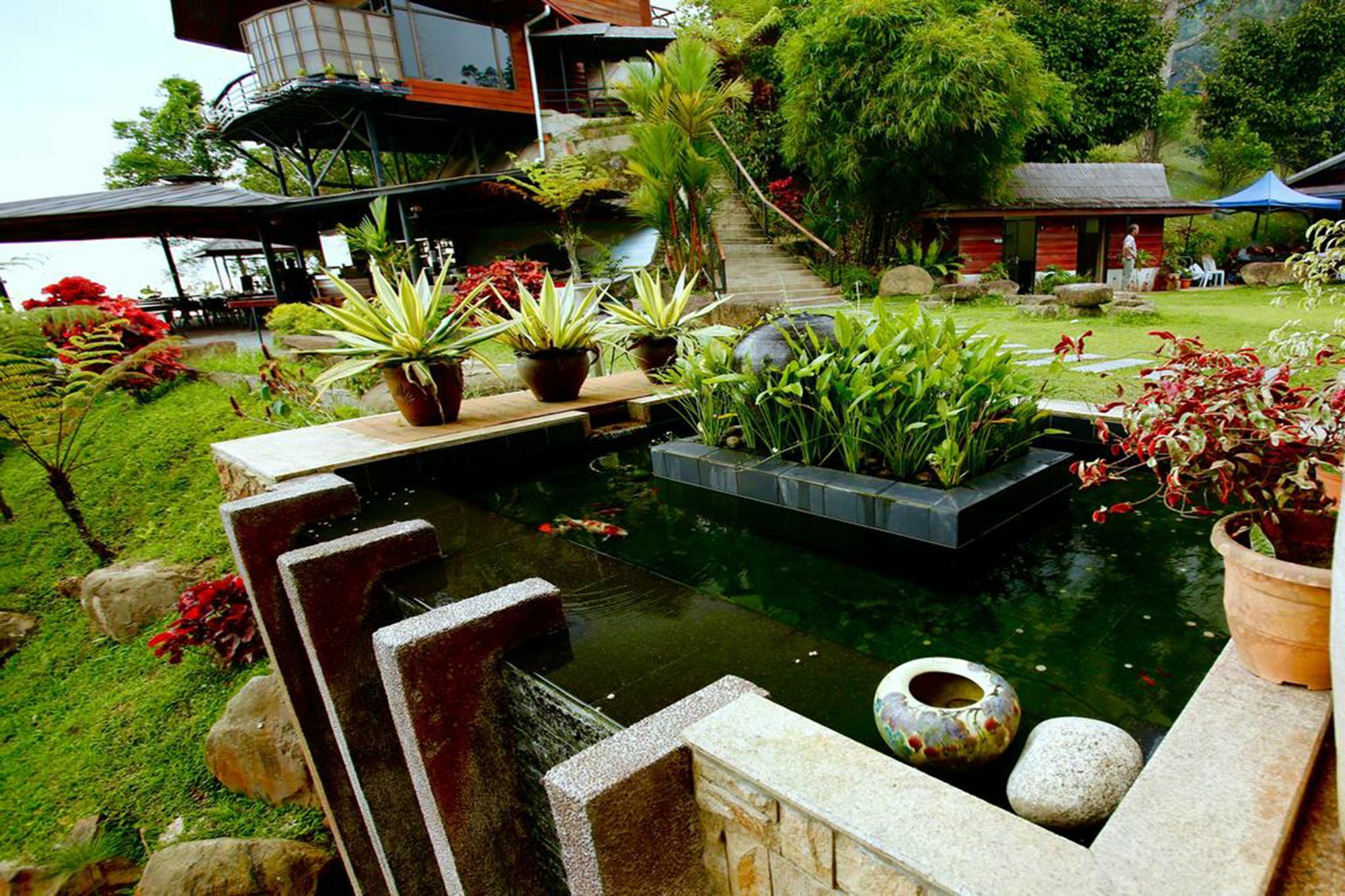 Kokol Haven