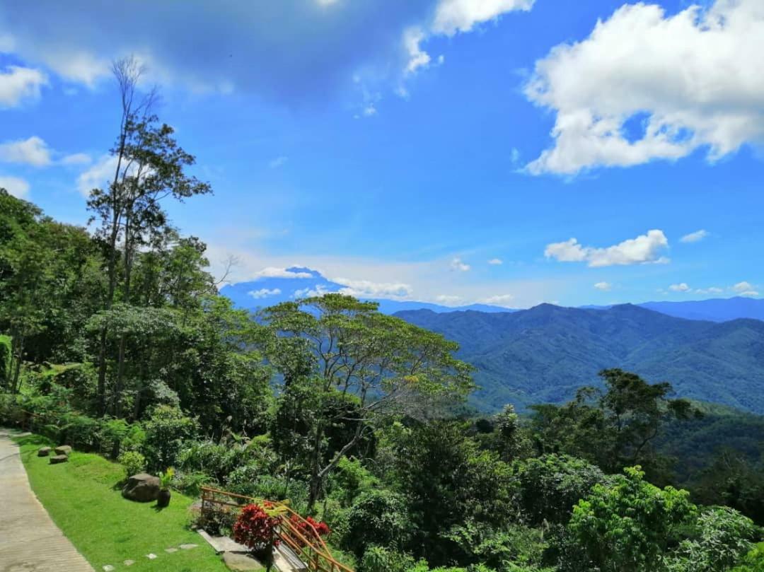 Kokol Haven Kota Kinabalu